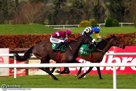 irish horse racing commentary